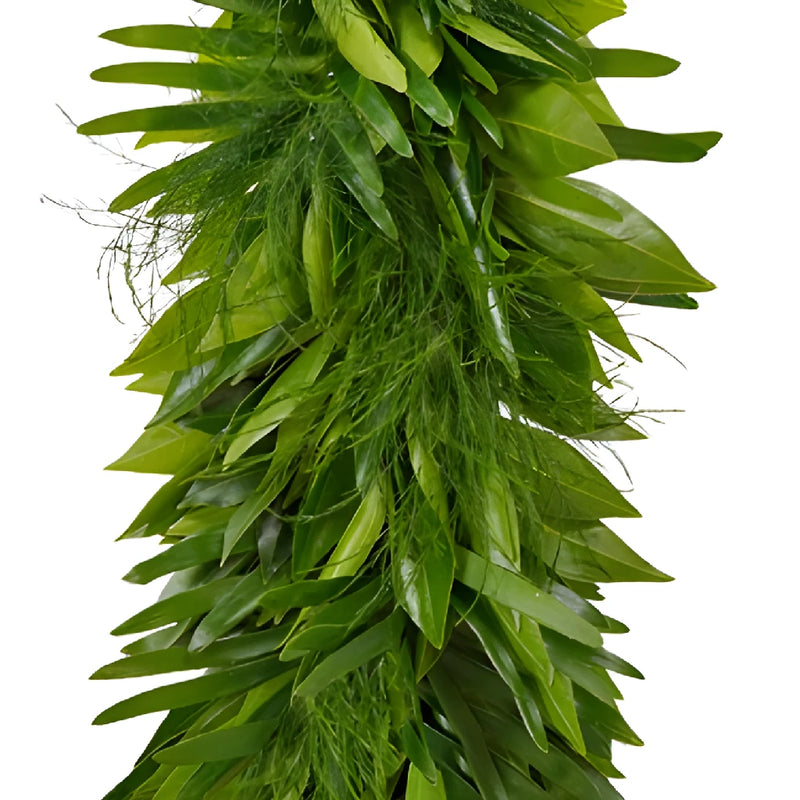 Cocculus, Coontie and Tree Fern Greens Garland