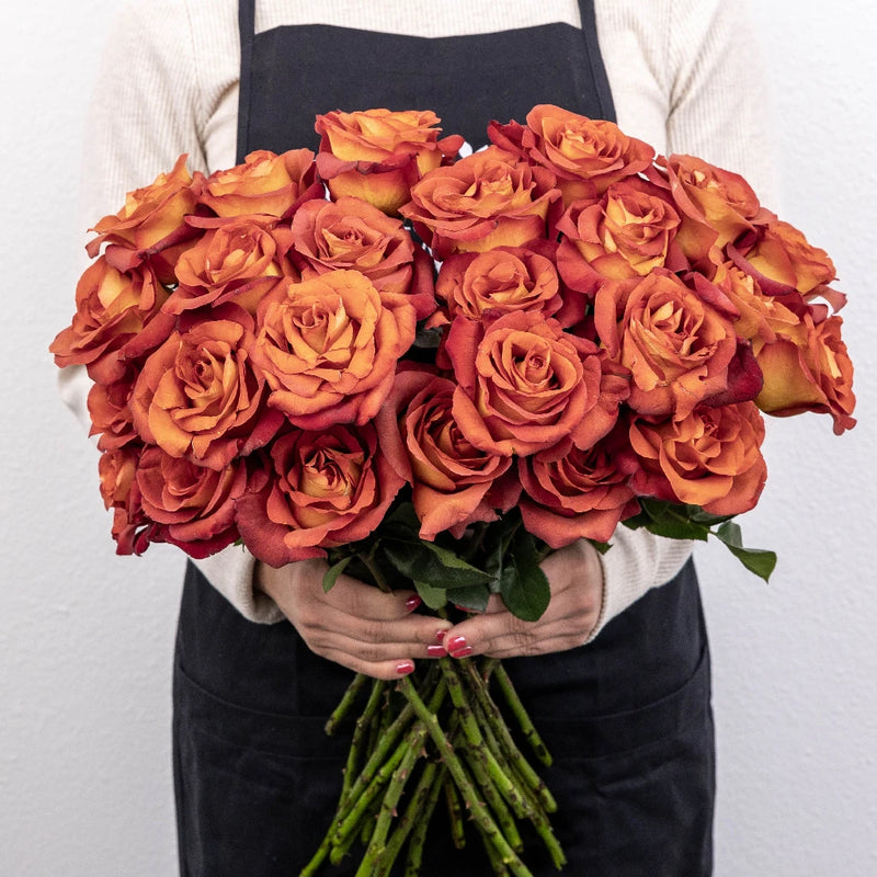 Coffee Break Terracotta Rose Apron - Image