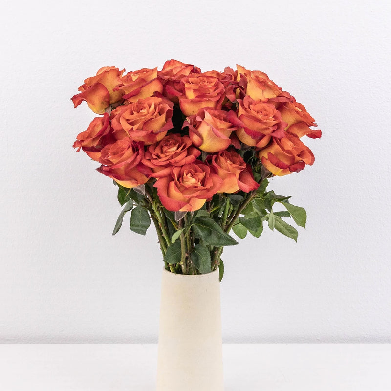 Coffee Break Terracotta Rose Vase - Image