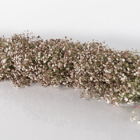 Coffee Toffee Baby's Breath Tinted Garland Vase - Image