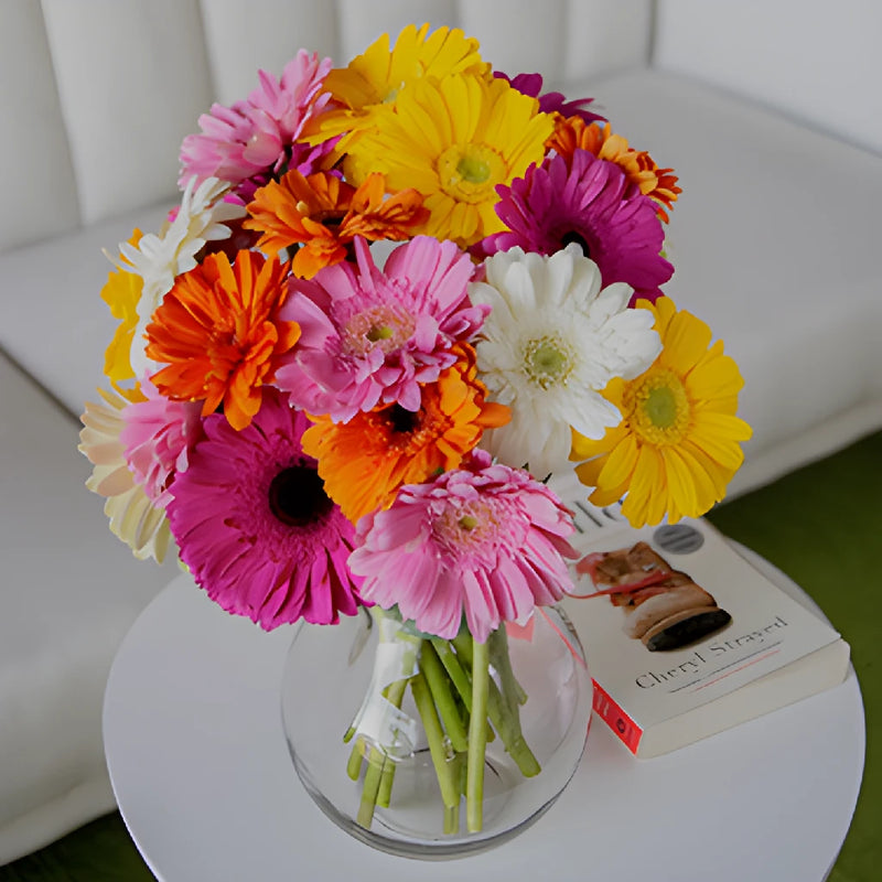 Farm Fresh Cut Gerbera Daisies For Your House