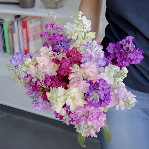 Mothers Day Wholesale Stock Flower