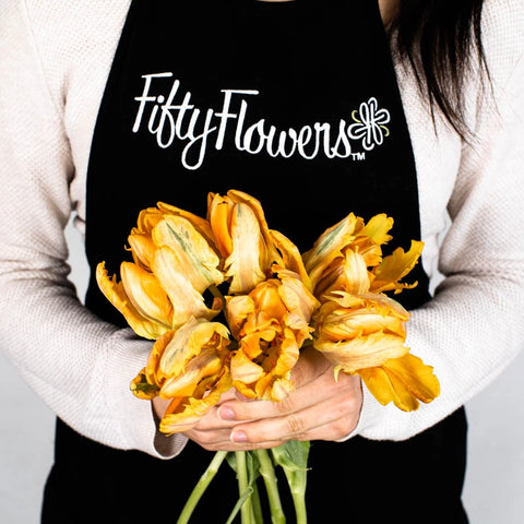 Come On Irene Parrot Tulip Come On Irene Parrot Tulip - Image