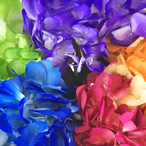 Airbrushed Hydrangea Confetti Mix