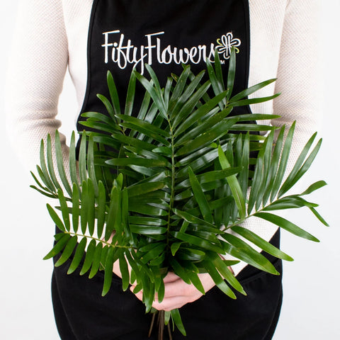 Coontie Greenery Bunch in Hand