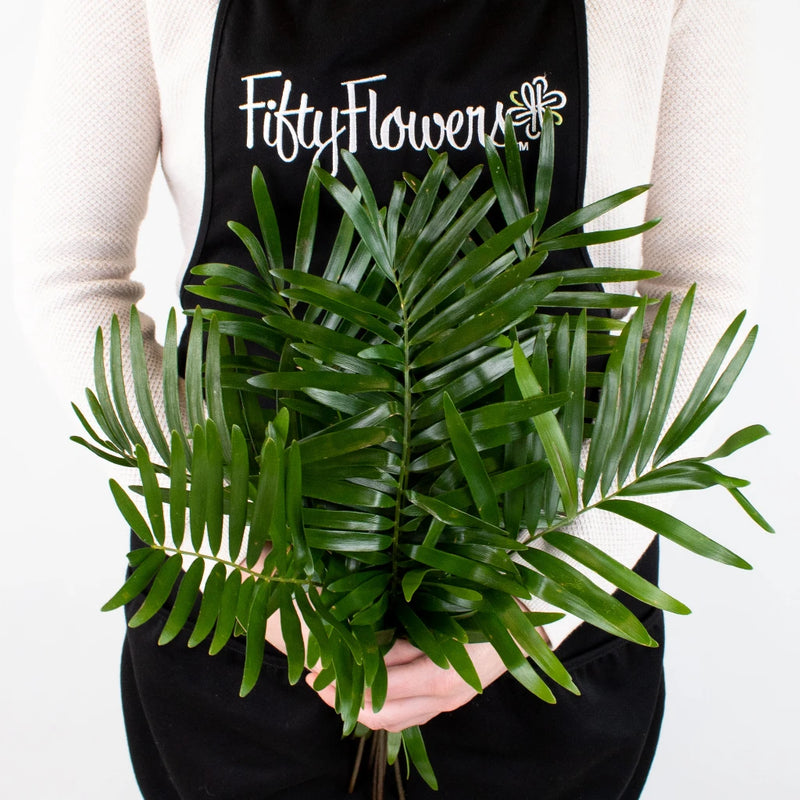 Coontie Greenery Bunch in Hand