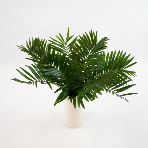 Coontie Greenery Bunch in Vase