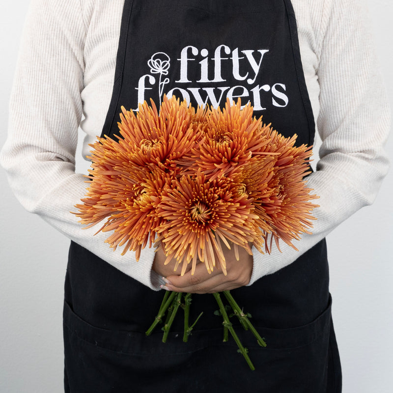 Copper Bronze Spider Mum Flowers Apron - Image