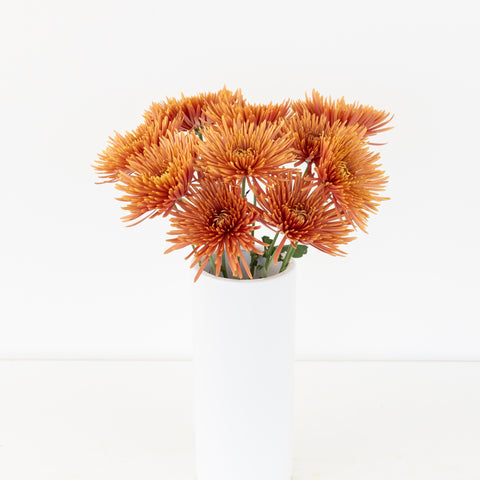 Copper Bronze Spider Mum Flowers Vase - Image