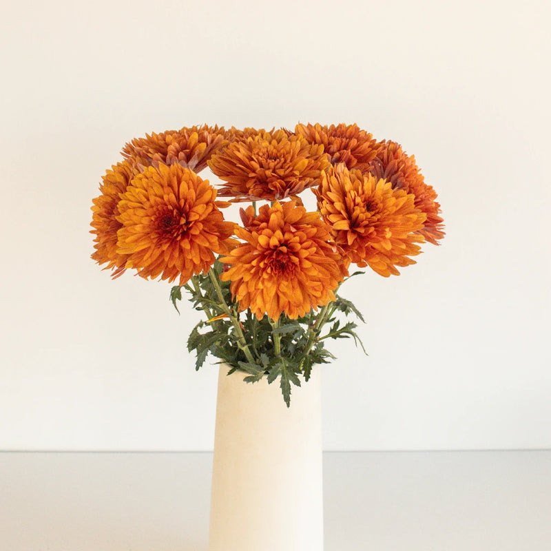 Copper Cremon Vase - Image