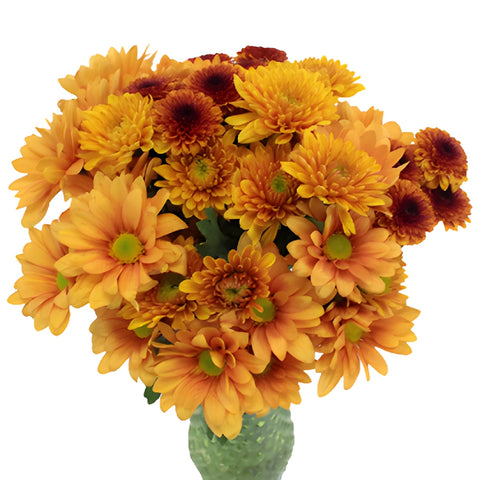 Copper Fall Flower DIY Flower Kit In a Vase