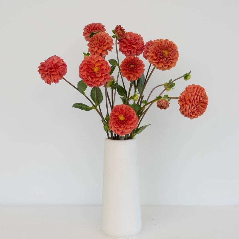 Copper Penny Dahlia Flower Vase - Image