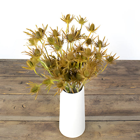 Copper Tinted Thistle Wholesale Flower In a vase