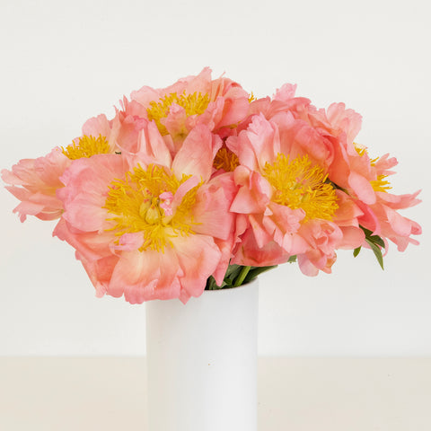 Coral Charm Peonies Vase - Image