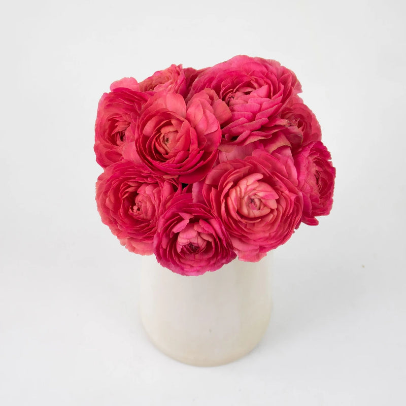 Coral Fragolino Cloony Ranunculus Flower Bunch in Vase