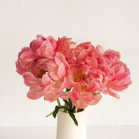 Coral Peonies Vase - Image