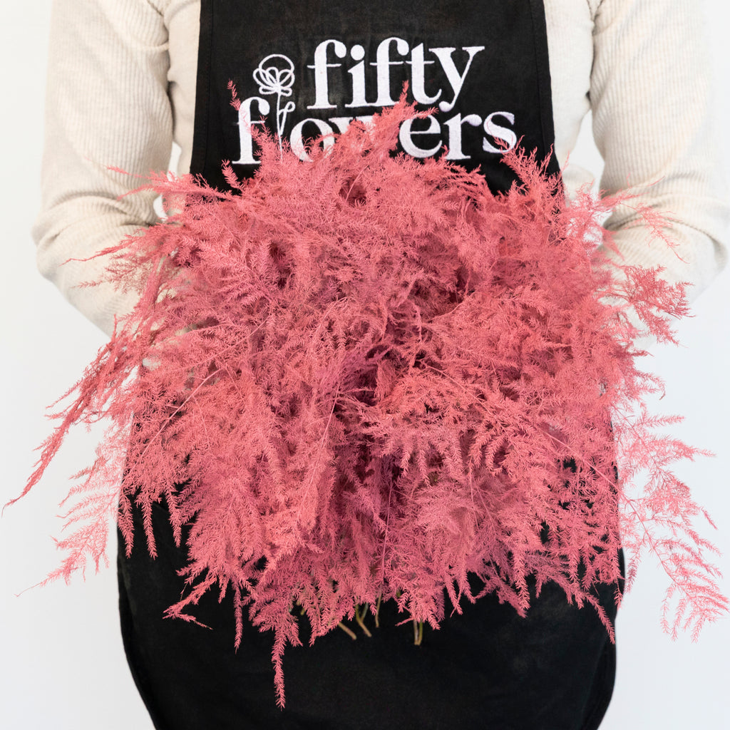 Buy Wholesale Coral Pink Tinted Plumosa Fern Greenery in Bulk - Fif