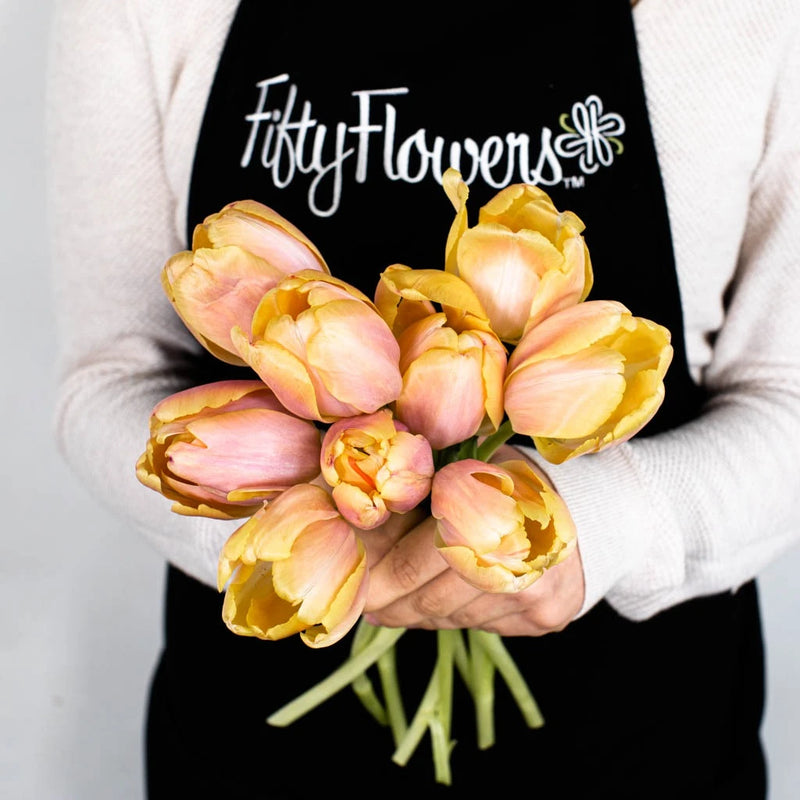 Coral Pride Bulk Tulip Apron - Image