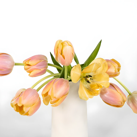 Coral Pride Bulk Tulip Vase - Image