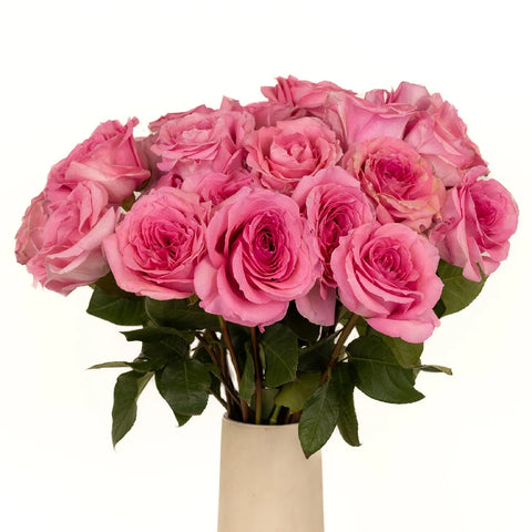 Coral Quartz Bulk Garden Rose Vase - Image