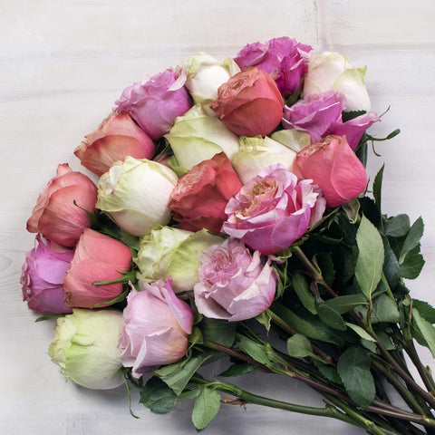 Coral Rose Wholesale Flower Bouquet FlatLay