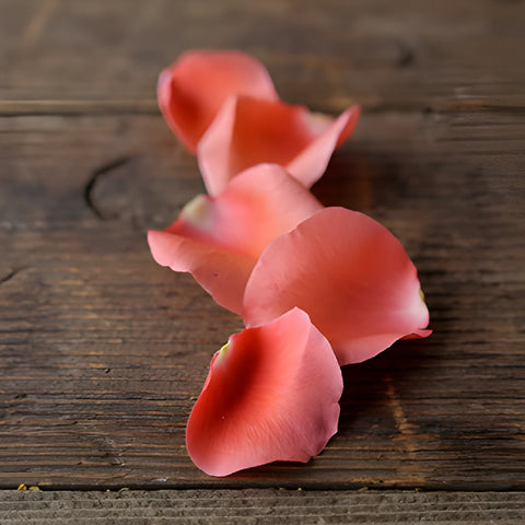 Coral Real Rose Petals