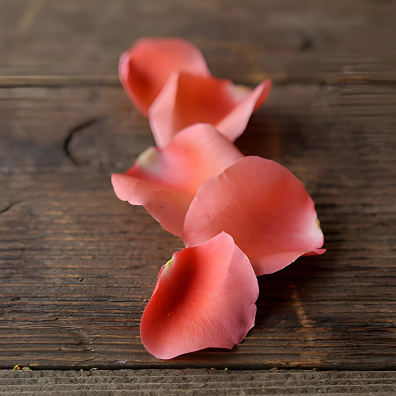 Coral Real Rose Petals