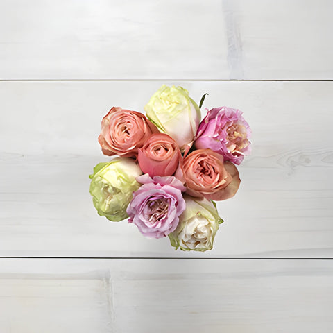 Coral Rose Wholesale Flower Bouquet Top Down