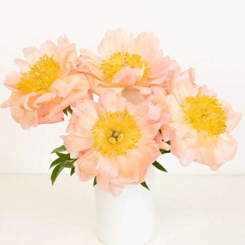 Coral Sunset Peonies For Mothers Day Vase - Image