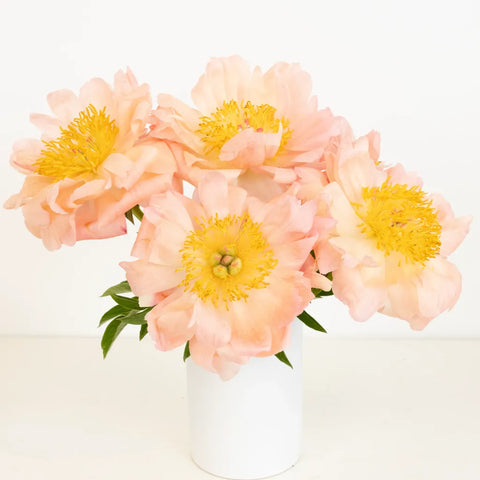 Coral Sunset Peonies Vase - Image