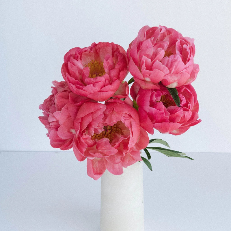 Coral Sunset Vase - Image