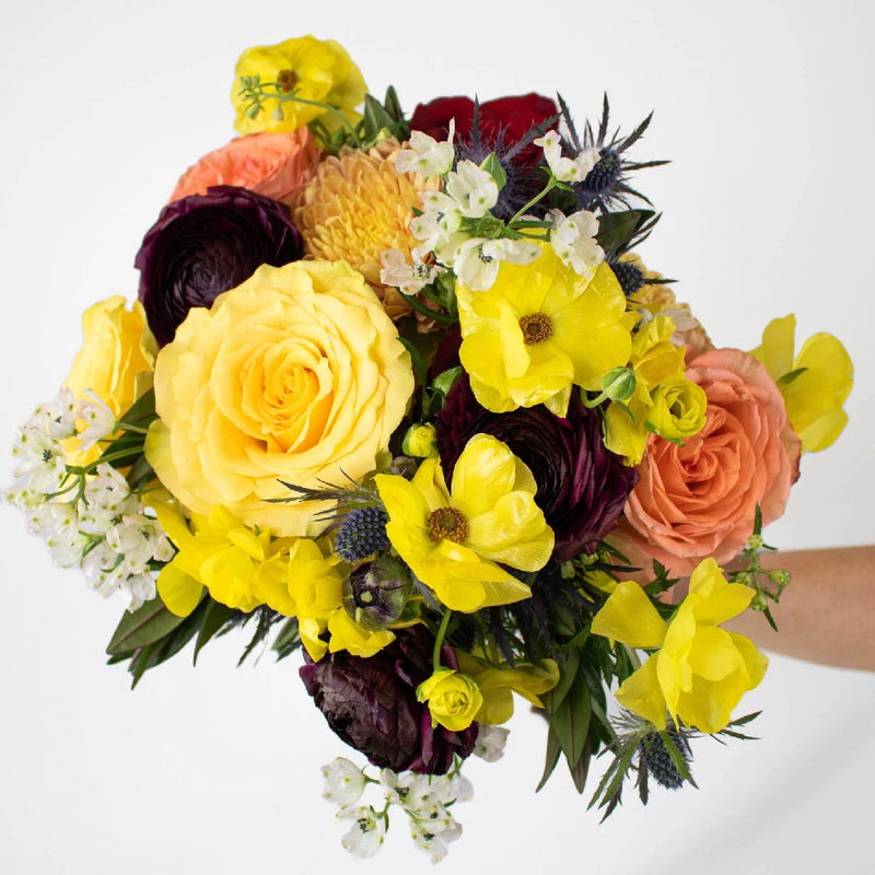 Cotopaxi Gold Hand - Image