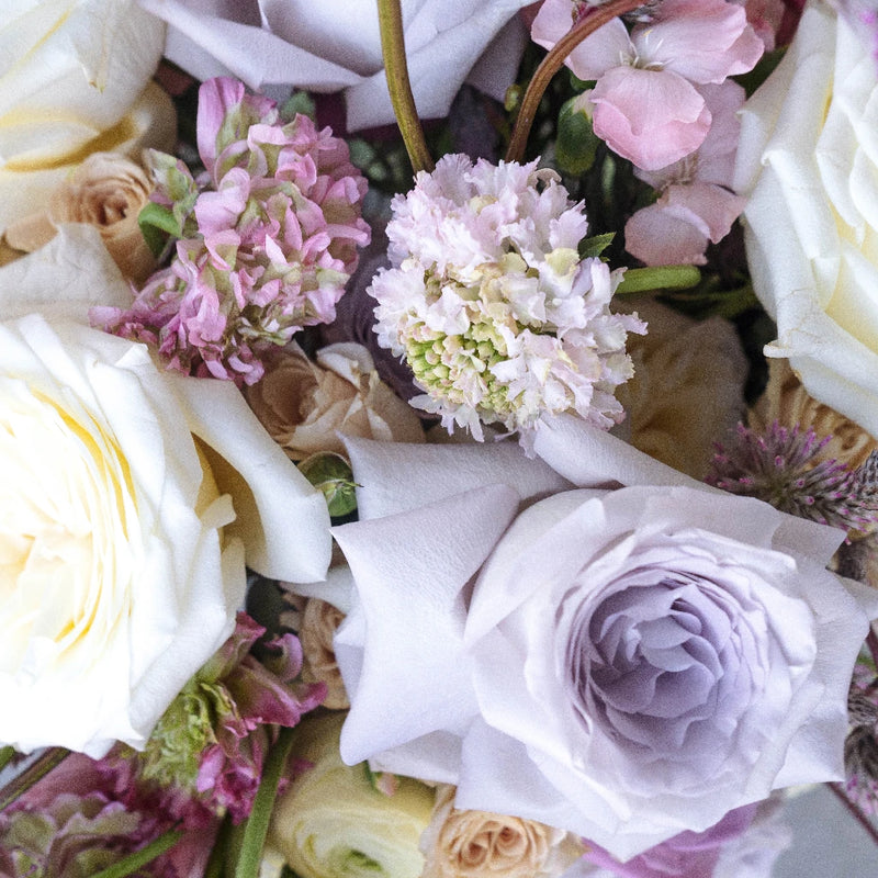 Cotopaxi Pink Diy Close Up - Image