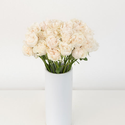 Cotton X-pression Garden Rose Vase - Image