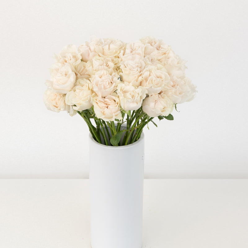 Cotton X-pression Garden Rose Vase - Image