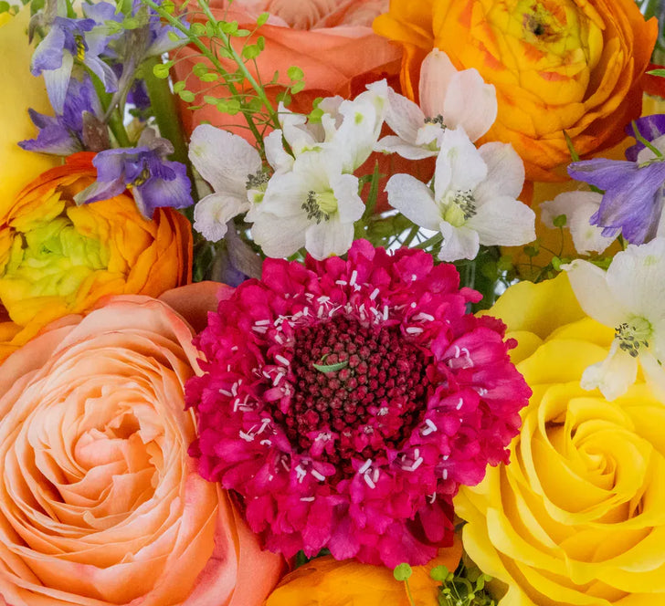 Country Charm Diy Flower Kit Close Up - Image