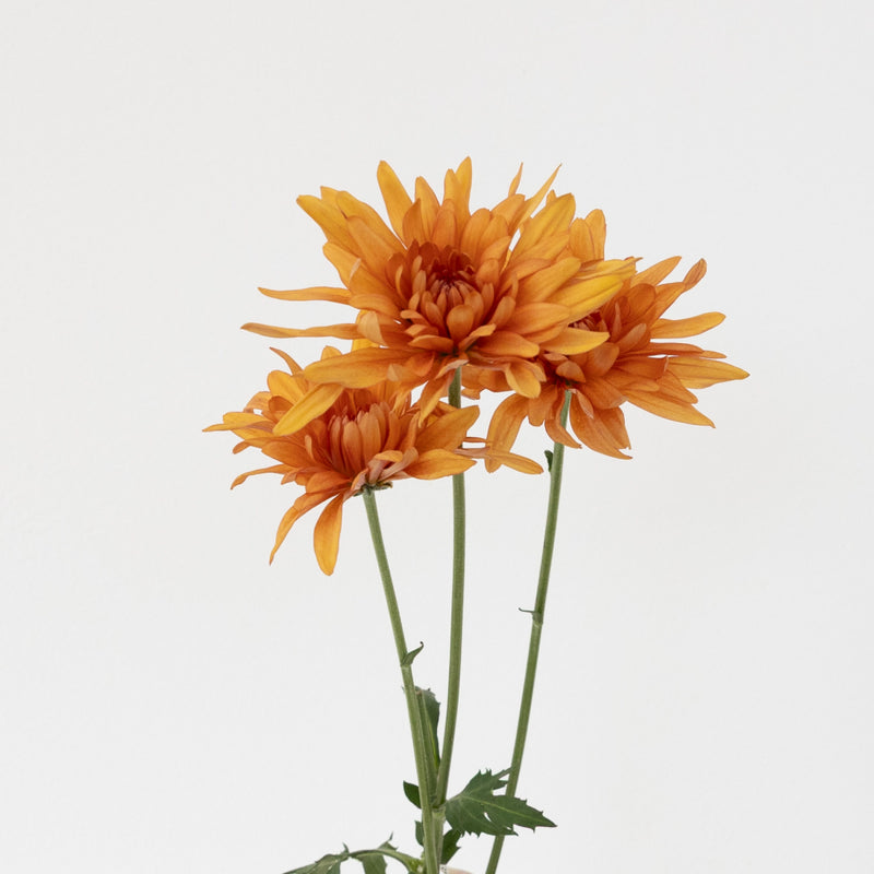 Country Copper Wedding Flower Stem - Image