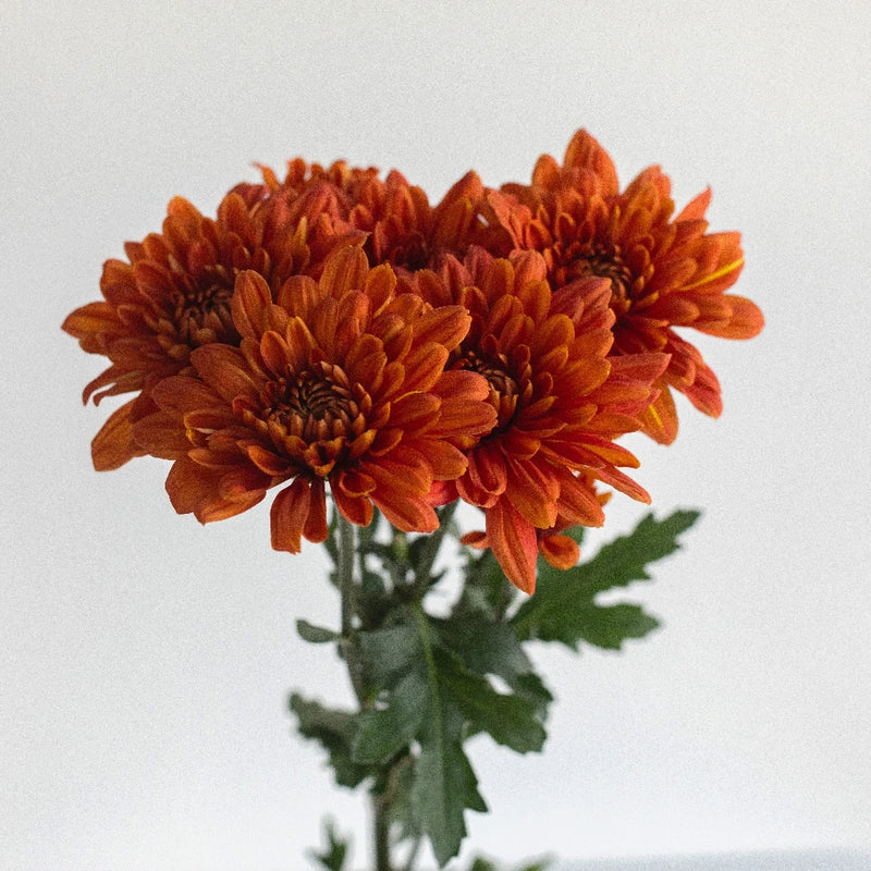 Country Copper Wedding Flower Stem - Image