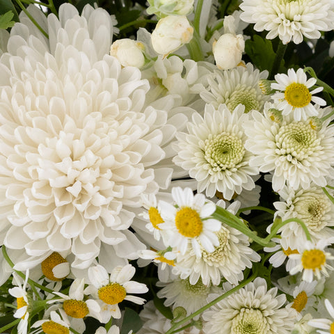 Crazy About You Diy Flower Kit Close Up - Image