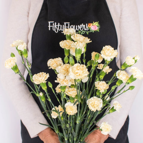 Cream Mini Carnation Flower Bunch in Hand