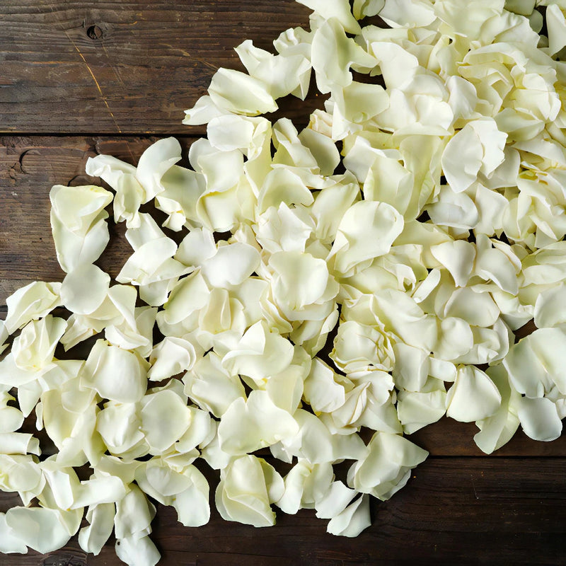 Cream Rose Petals for sale