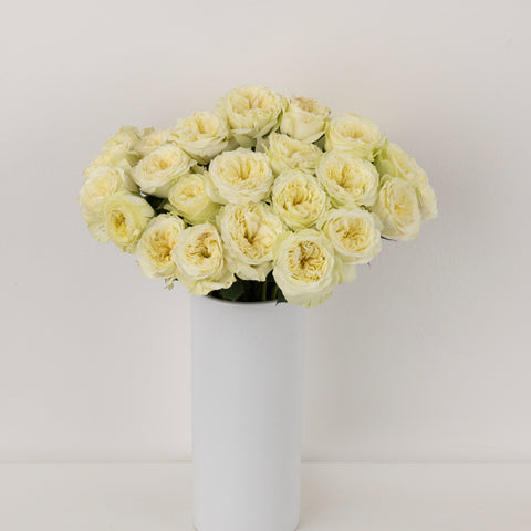 Creamy Ivory Peony Rose Vase - Image