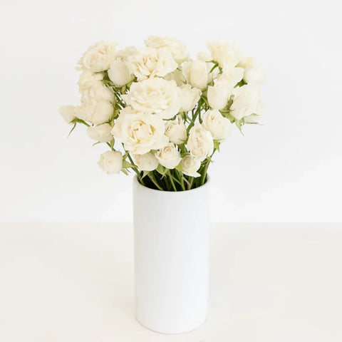 Creamy White Bulk Spray Roses Vase - Image