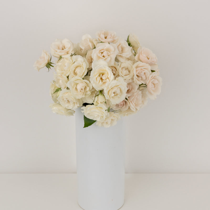Creamy White Bulk Spray Roses Vase - Image