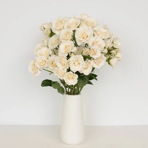 Creamy White Spray Rose Express Delivery Vase - Image