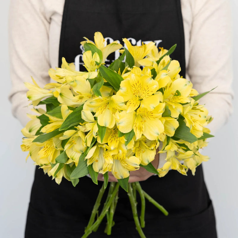 Creamy Yellow Bulk Peruvian Lilies Apron - Image