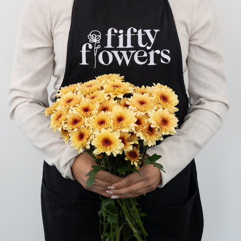 Creme Brulee Cushion Apron - Image