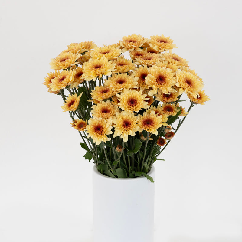 Creme Brulee Cushion Vase - Image