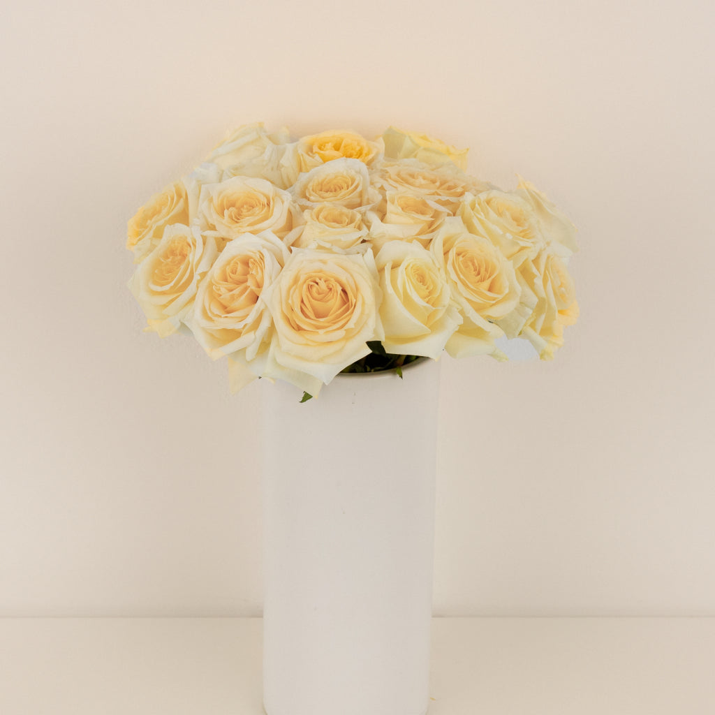 Buy Wholesale Creme de la Creme Rose in Bulk - FiftyFlowers