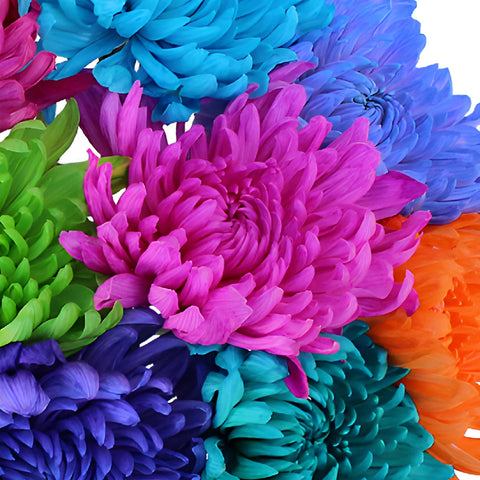 Farm Mix Tinted Cremon Flower